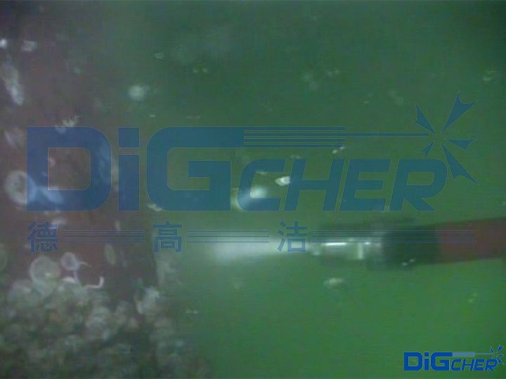 水（shuǐ）下海生物空化射流清洗（xǐ）