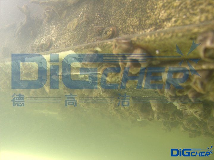 海生（shēng）物附著