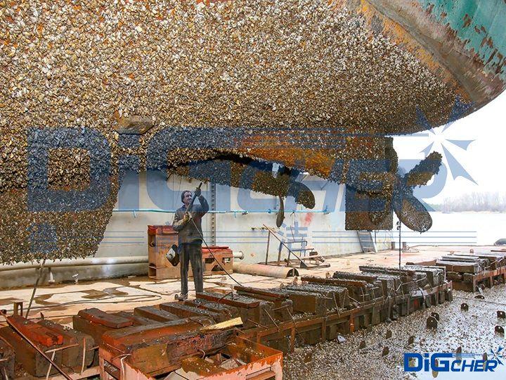 船體海（hǎi）生物層