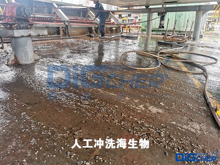 人工衝洗海生物（wù）