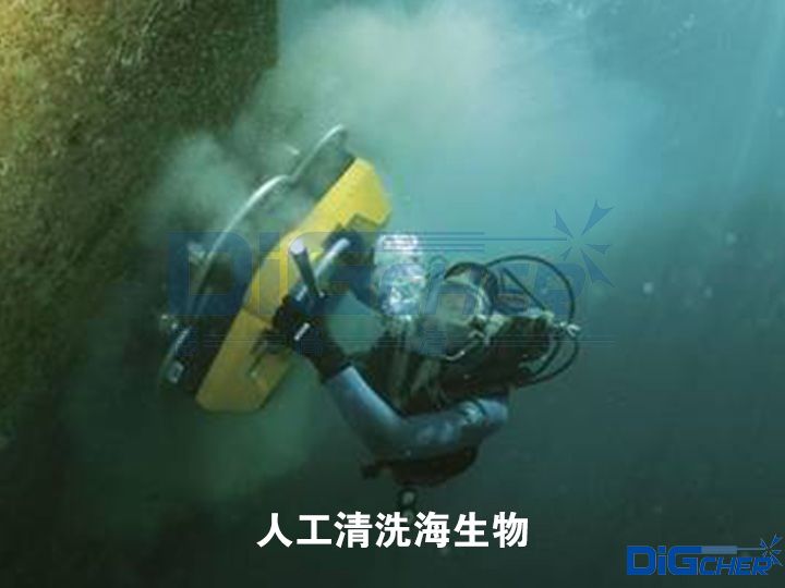 人工（gōng）清（qīng）洗海生物